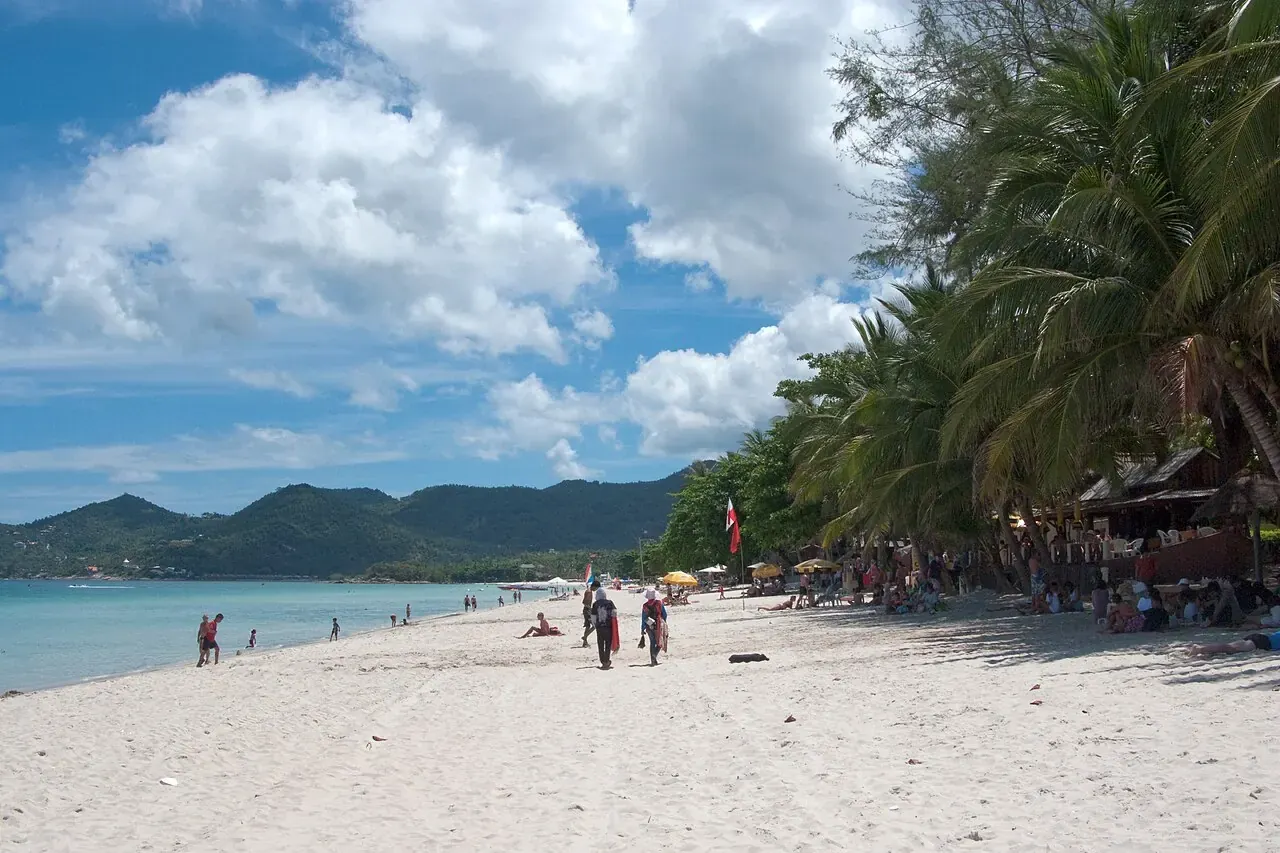 Tropical beach and palms on Koh Samui